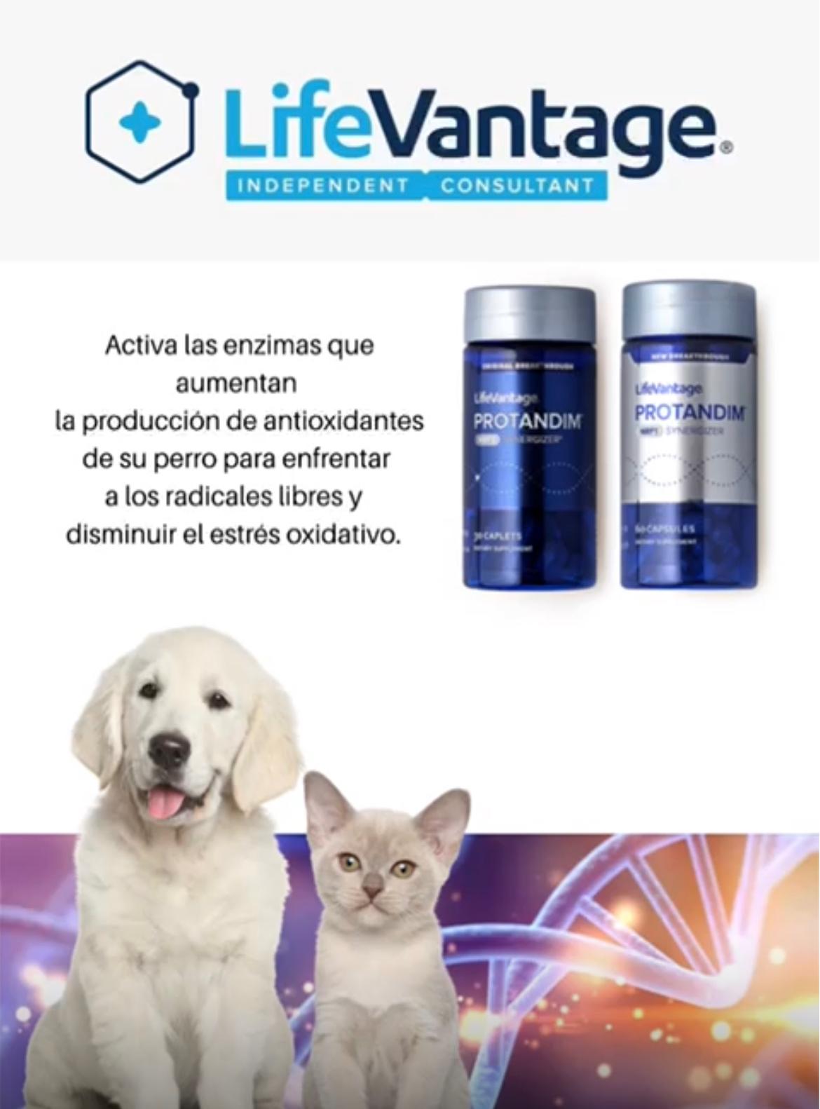 INSTRUCTORA CANICA Y ESPECILISTA EN BIENESTAR ANIMAL website
