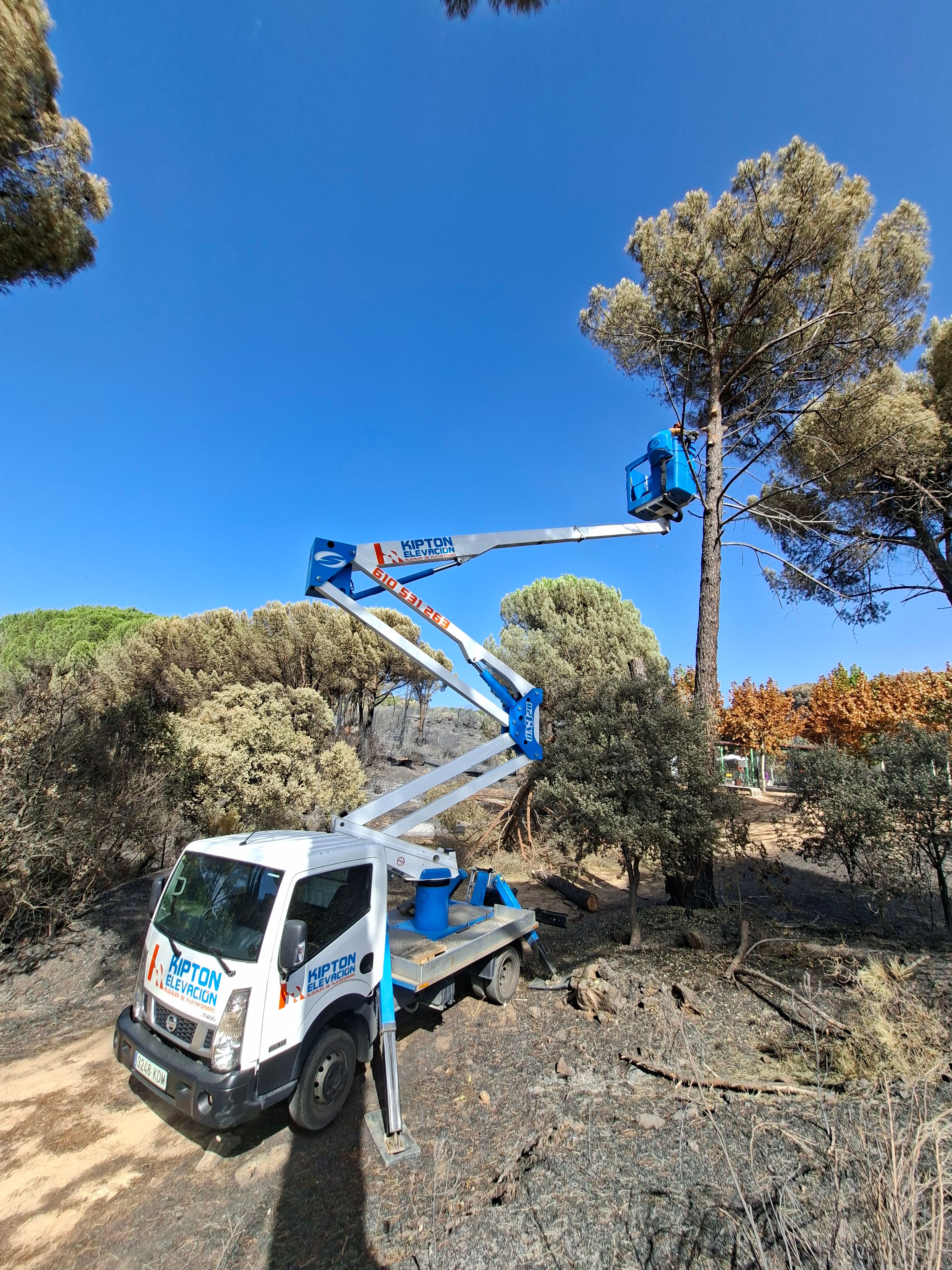 Alquiler camion cesta website