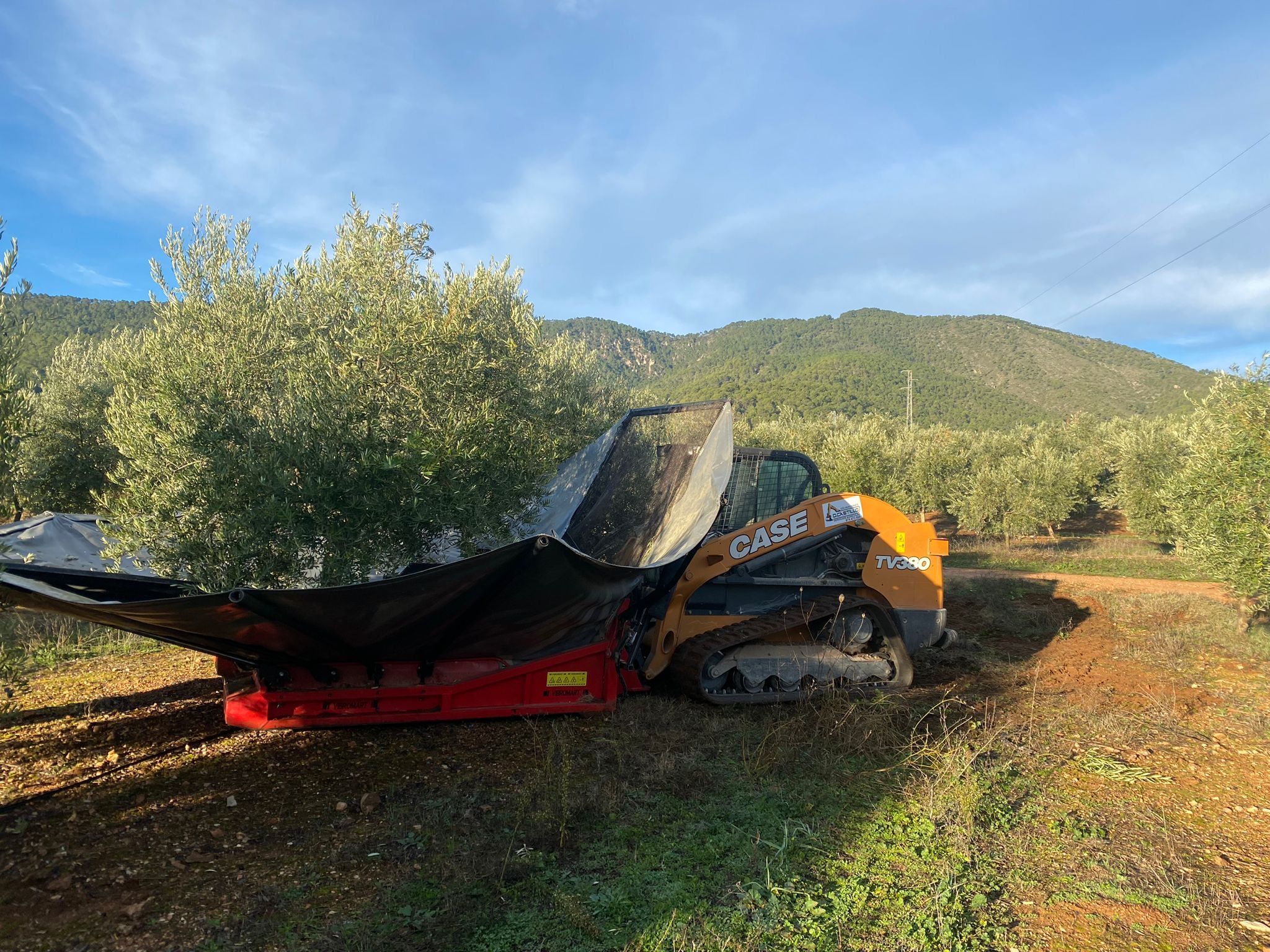 Servicios agrícolas Recogida de aceituna website