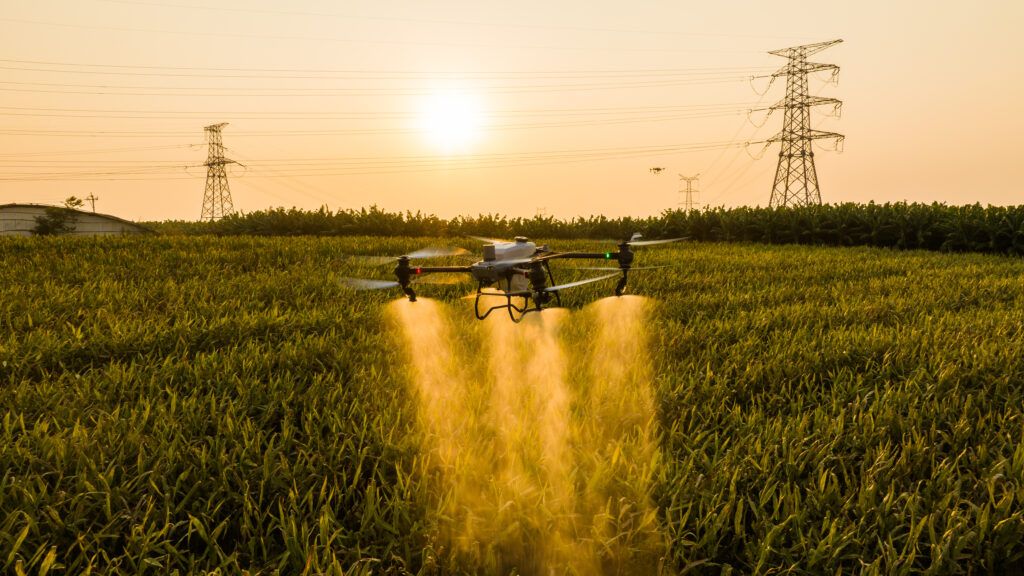 Aplicación con Dron de Fitosanitarios y Abonos website
