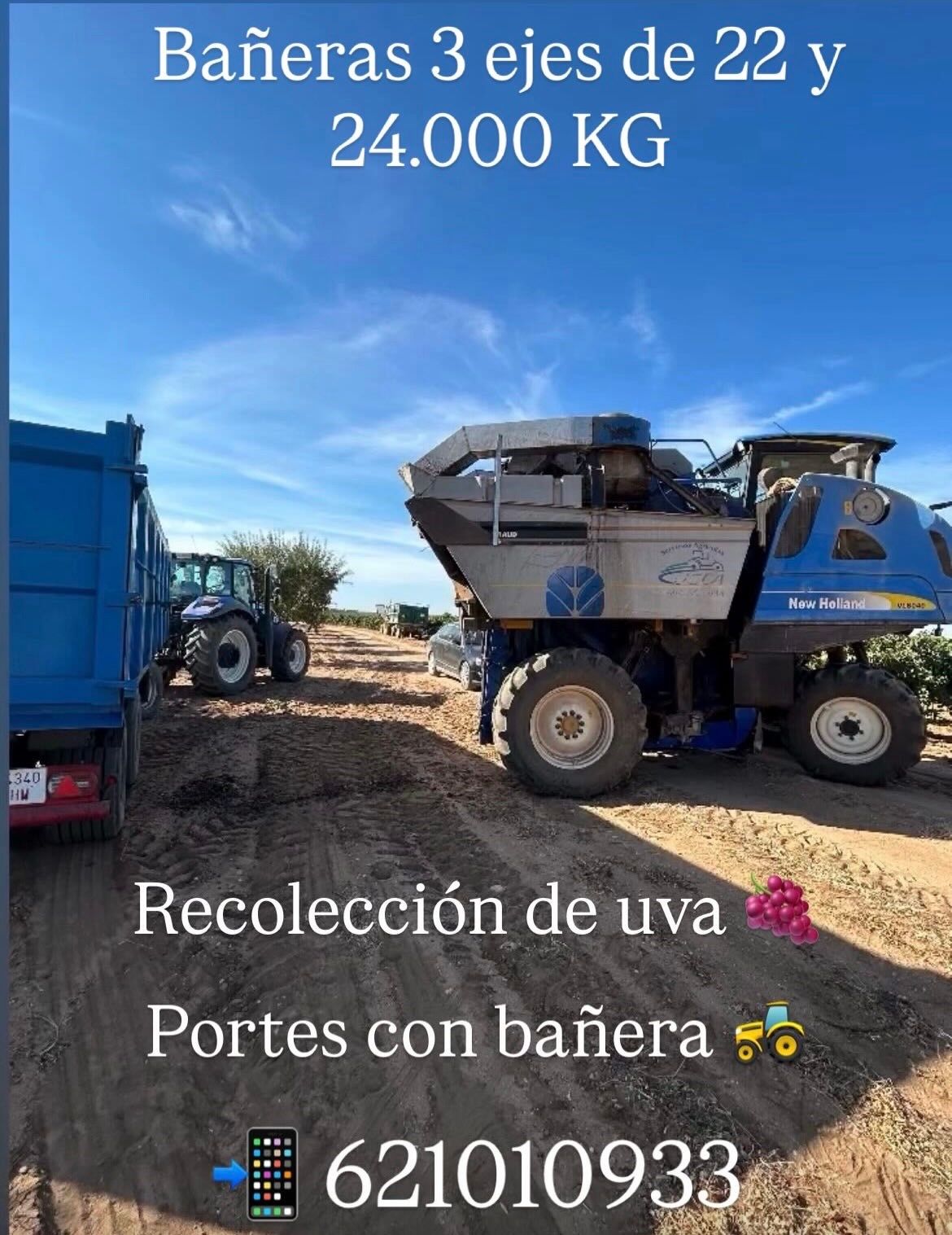 Servicios Agrícolas y Gestión de fincas  website