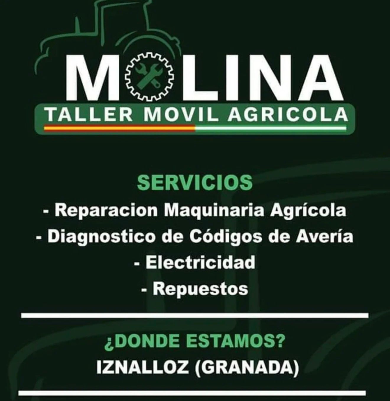 Diagnósticos de Códigos de Averías website