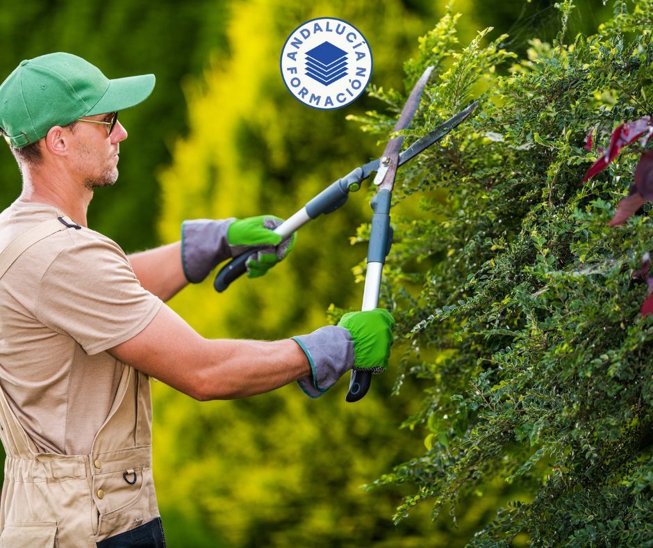CURSO GRATUITO EN JARDINERÍA BÁSICA  website