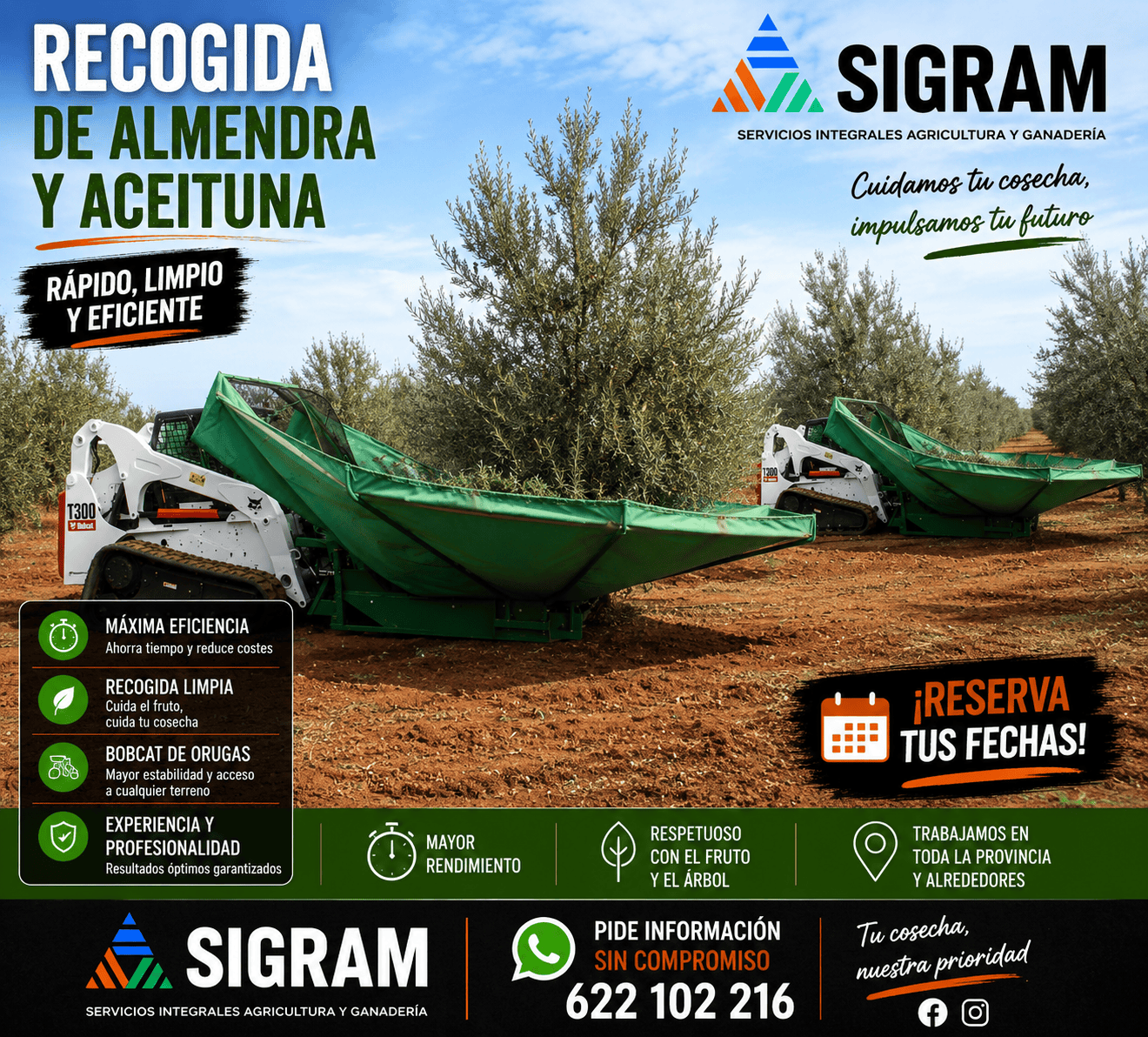 RECOLECCION DE ALMENDRA Y ACEITUNA. RESERVE FECHA website